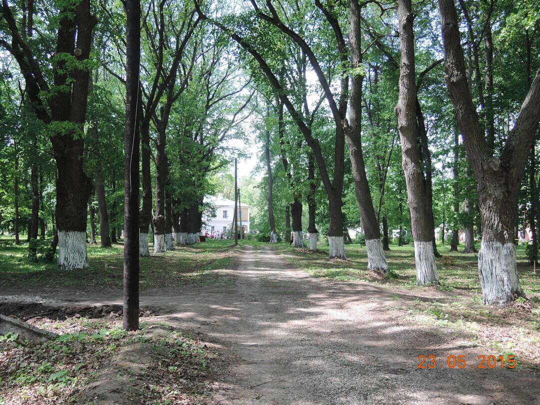 Усадьба худекова в рязанской области фото