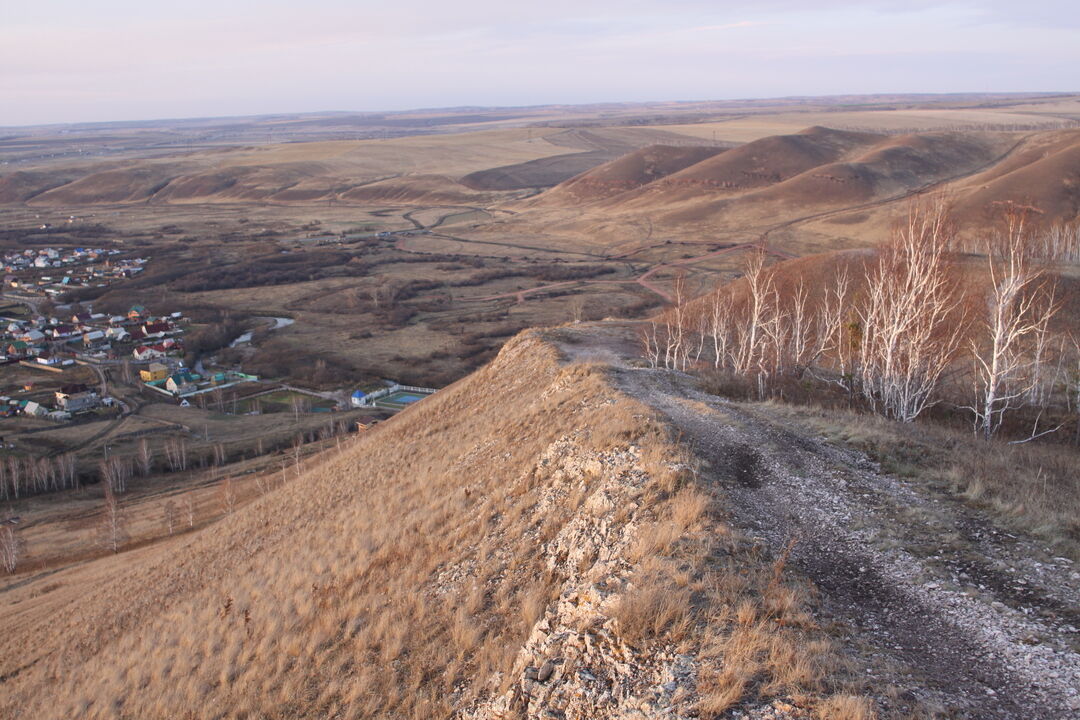 Дрокино парк рф красноярск фото