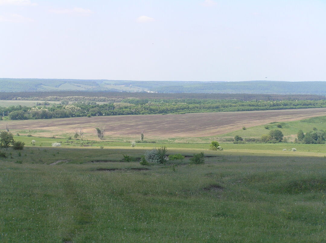 Солоти Белгородская область