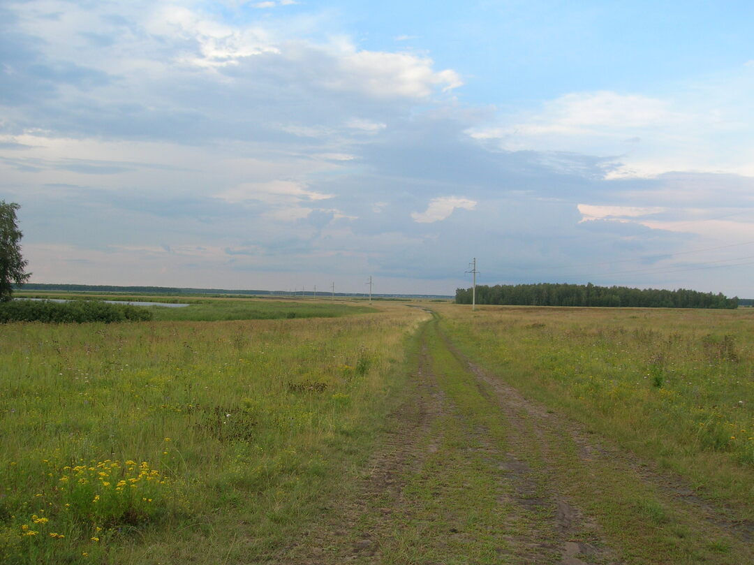 Гоголевка курская область фото