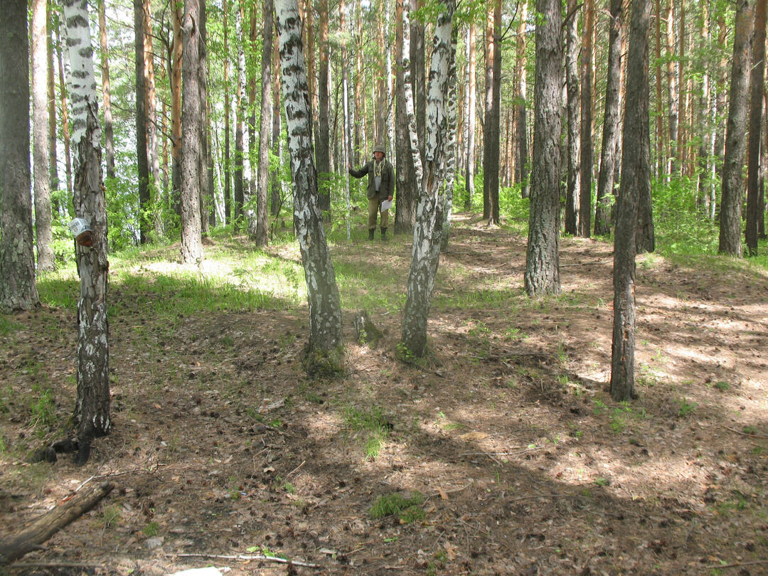 Рп5 городище пензенской