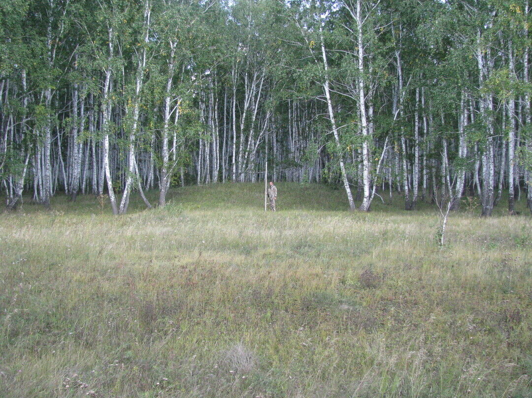 Новопокровка. Омская область Горьковский район село Новопокровка. Новопокровка Горьковского района Омской области. Горьковский район Курганы. Омская обл Знаменский район д Ново пакровка.