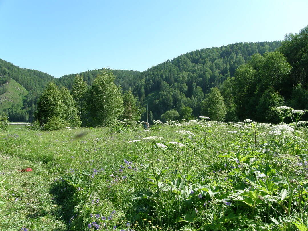 Р кия кемеровская область