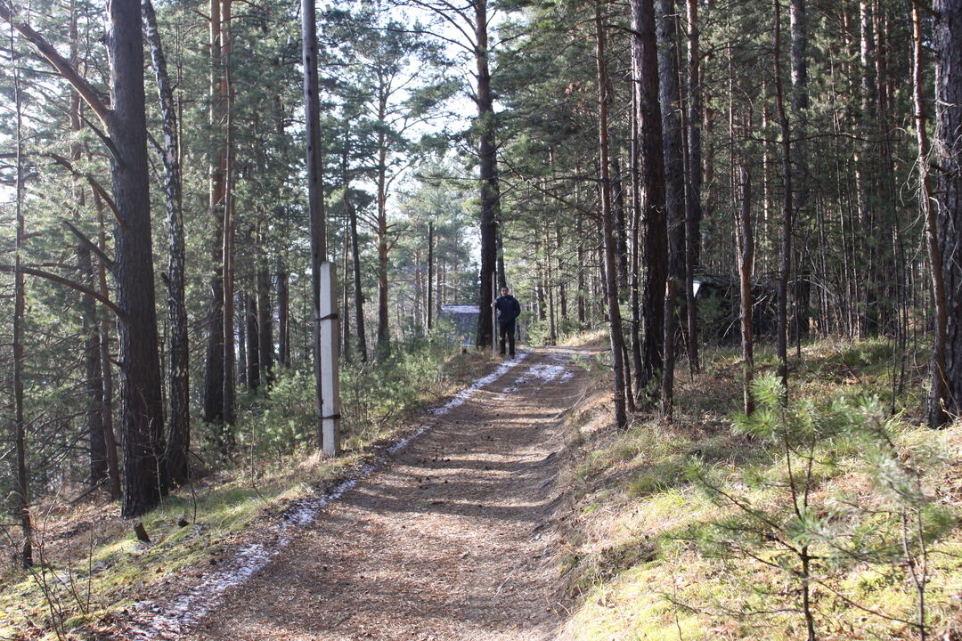 Боровое красноярск карта