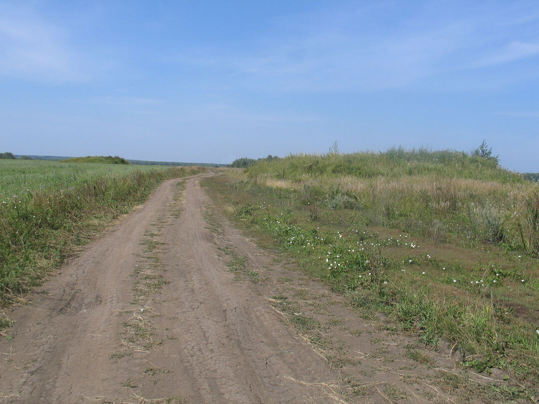 Юргир. Село Петровское Юргамышского района Курганской области. Новый мир Курганская область Юргамышский район. Курганный могильник «Петровский». Курганская область Юргамышский район п.новый мир.