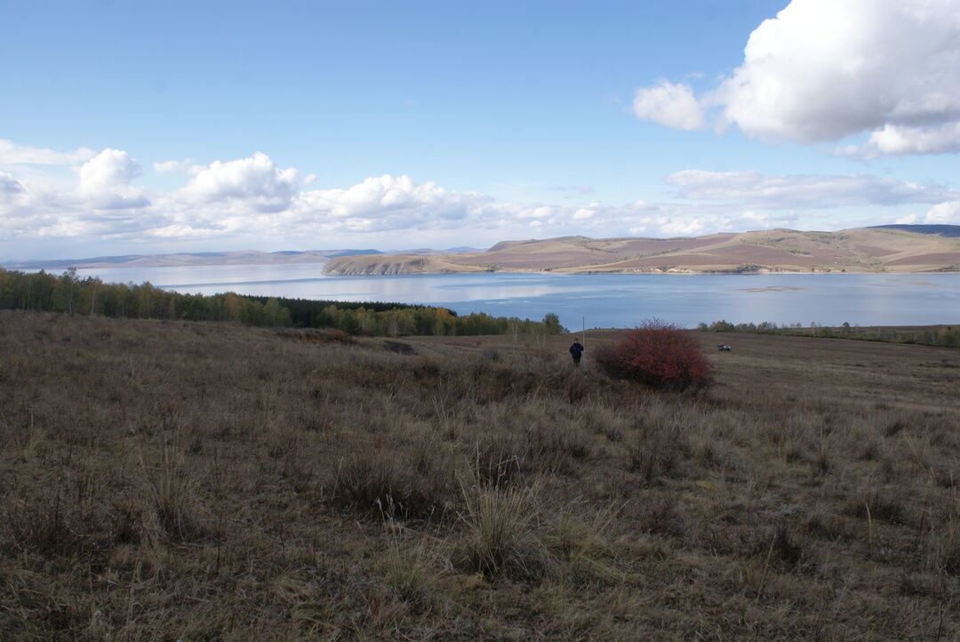 Село лебяжье краснотуранский район фото