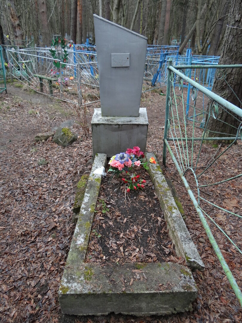 Могила красногвардейца Михаила Федотовича Степанова, погибшего под Кемью в боях с белофиннами в апреле 1918 г.