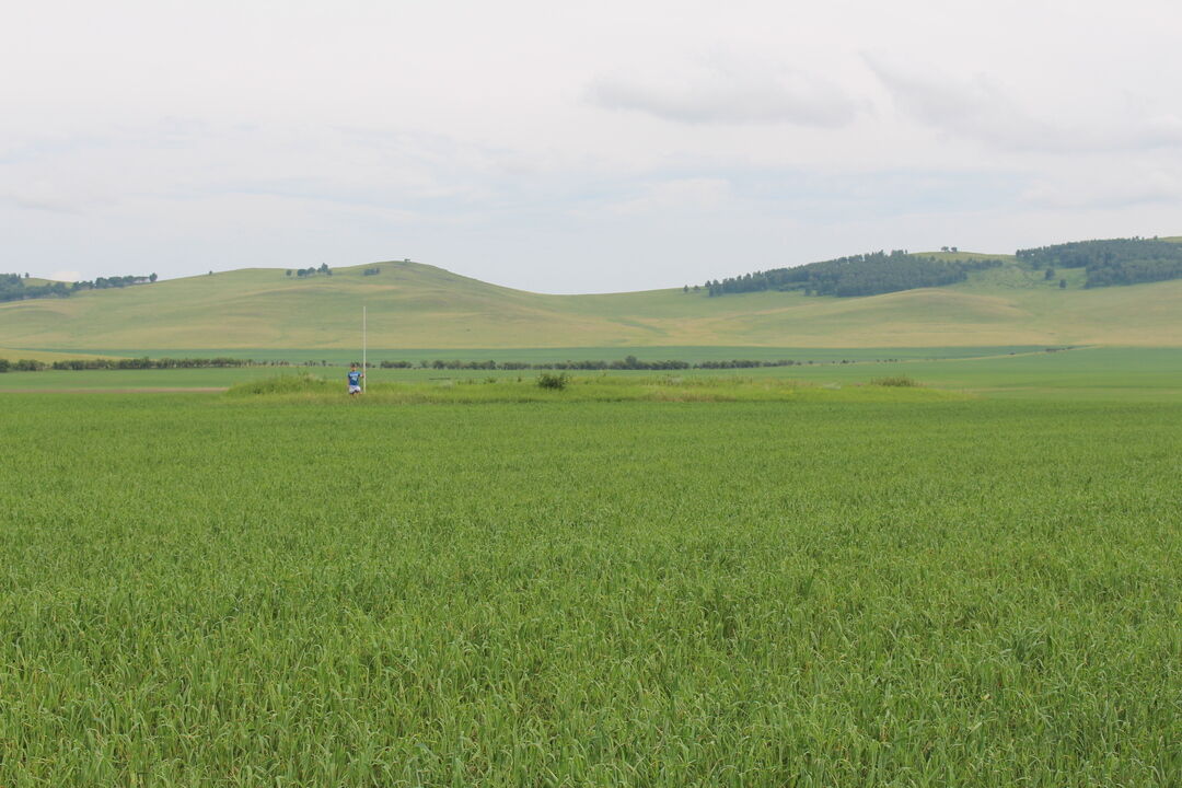 Село кома. Аллагуват-2, одиночный Курган. Село Анаш Новоселовский район Красноярский край. Поселок дивный Новоселовский район. Интикуль Новоселовский район.