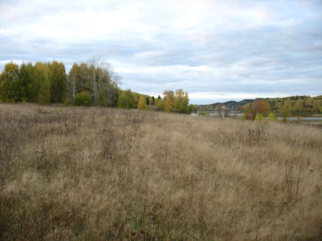 Пермский край змеевка погода. Нижнее Городище Частинского района. Городище Частинский район Пермский край. Нижнее Городище Пермский край. Деревня Змеевка Пермский край.