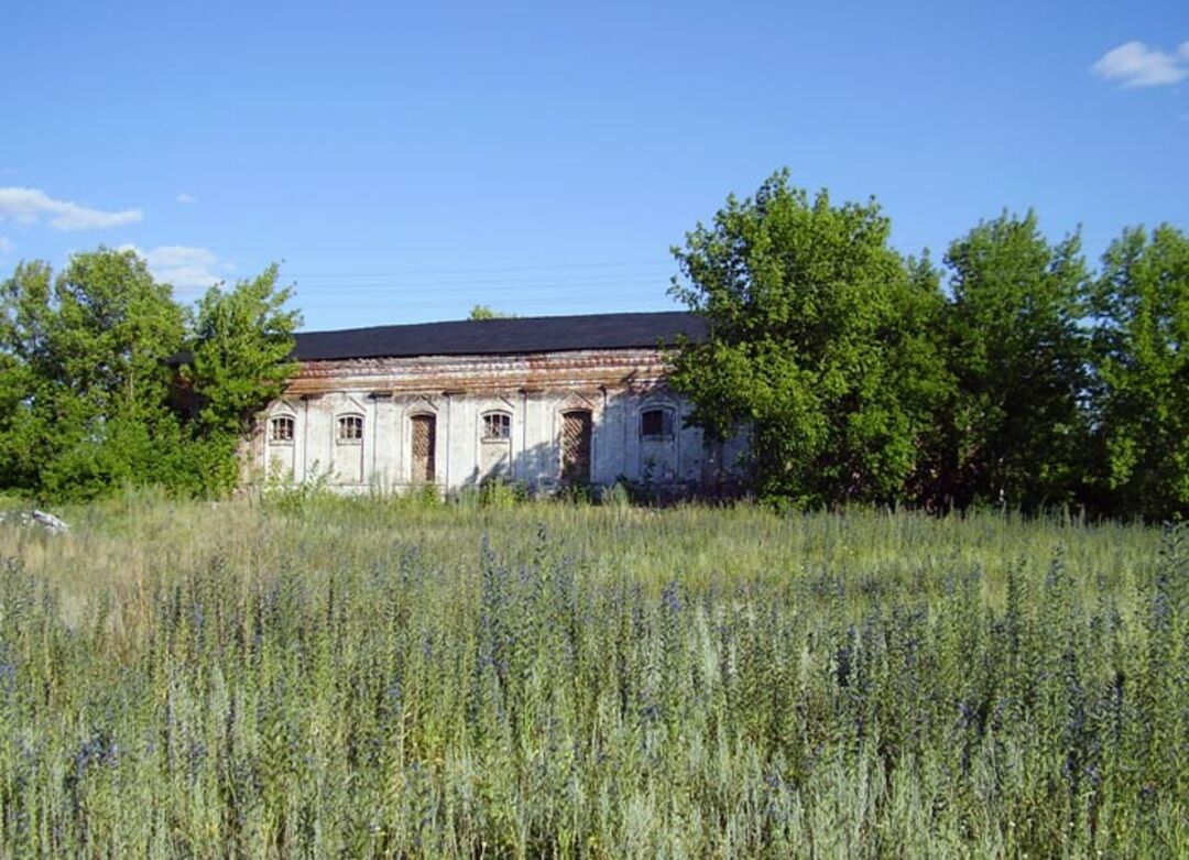 Село девица острогожского района фото