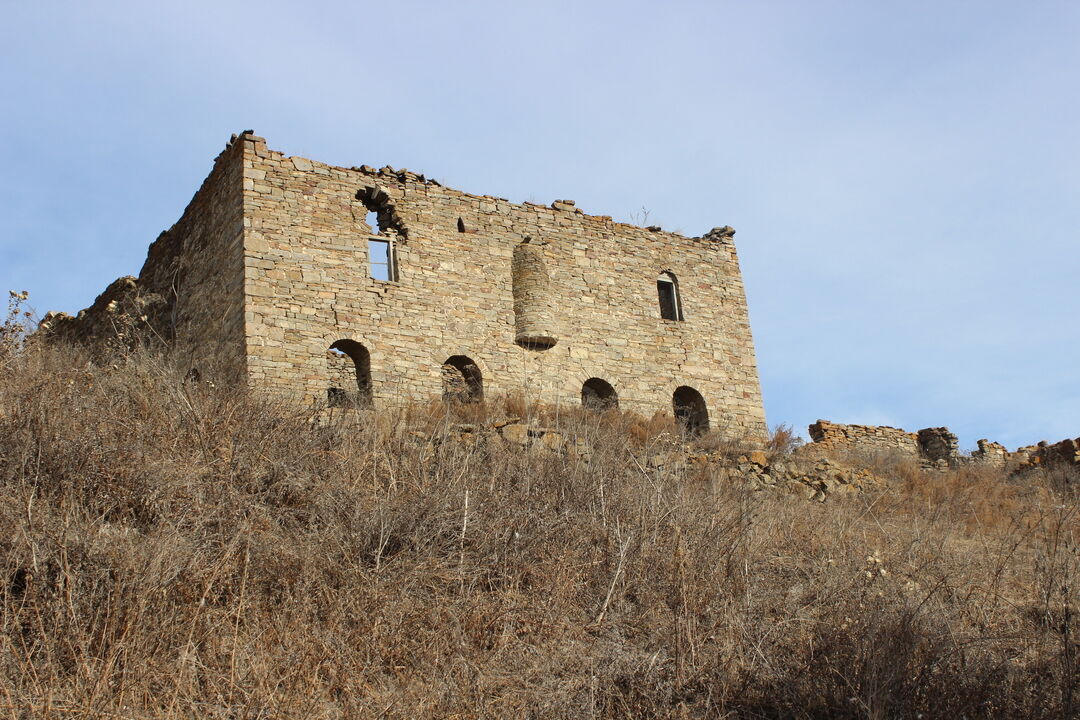 Село ведено