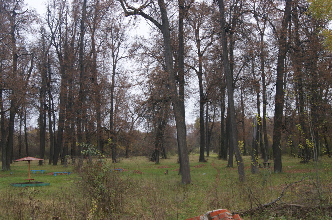 Парк