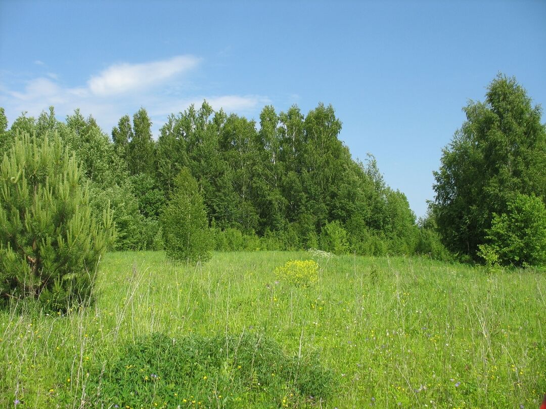 Пермский край змеевка погода