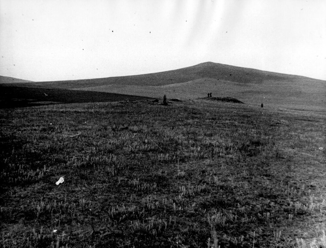 Село могильников. Власовский могильник. Скифские Курганы в Воронежской области. Курганный могильник Сходня. Курганы Воронежской области.