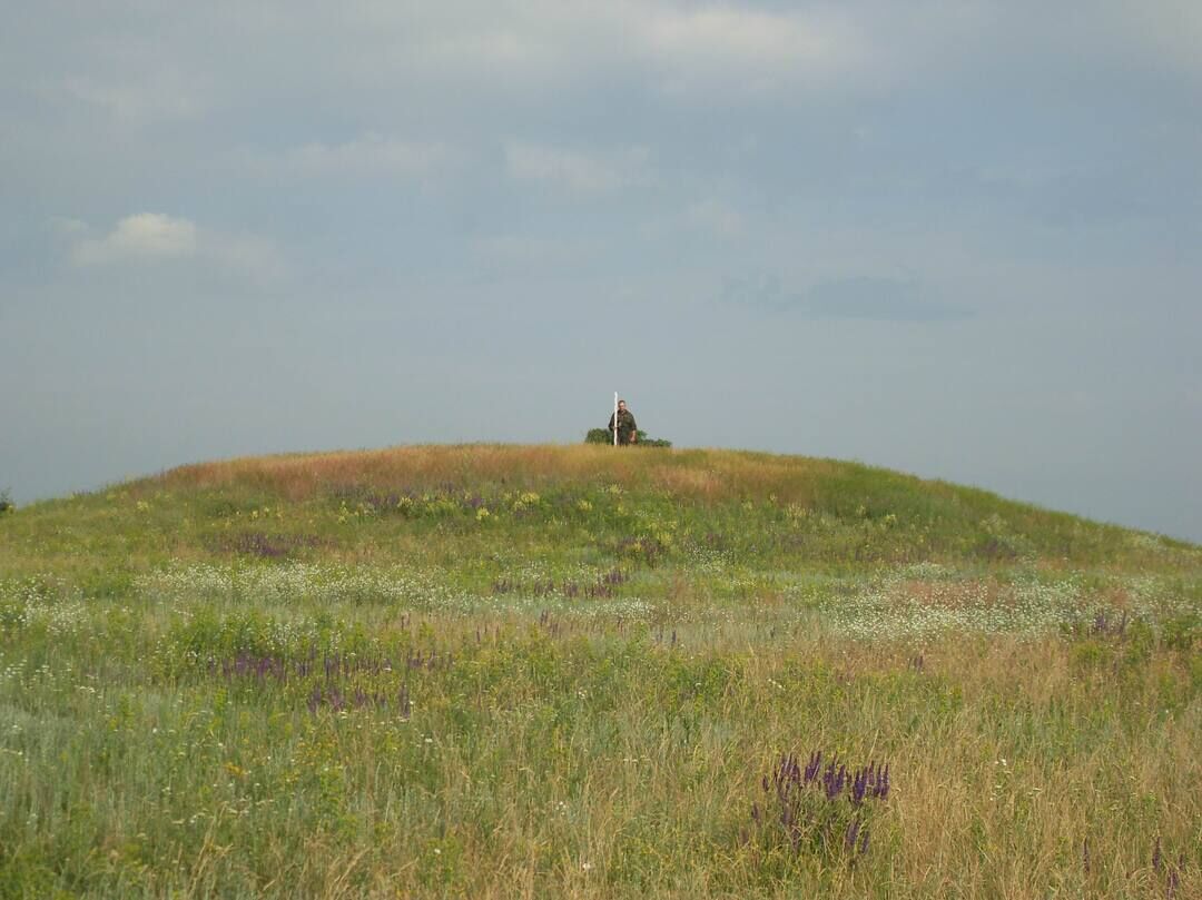 Курганный могильник. Курганный могильник "Киселев III. Курганы Липецкой области. Курганский могильник Чограй IX. Курганы Ростовской области.