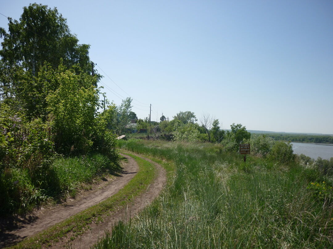 Научный городок барнаул фото