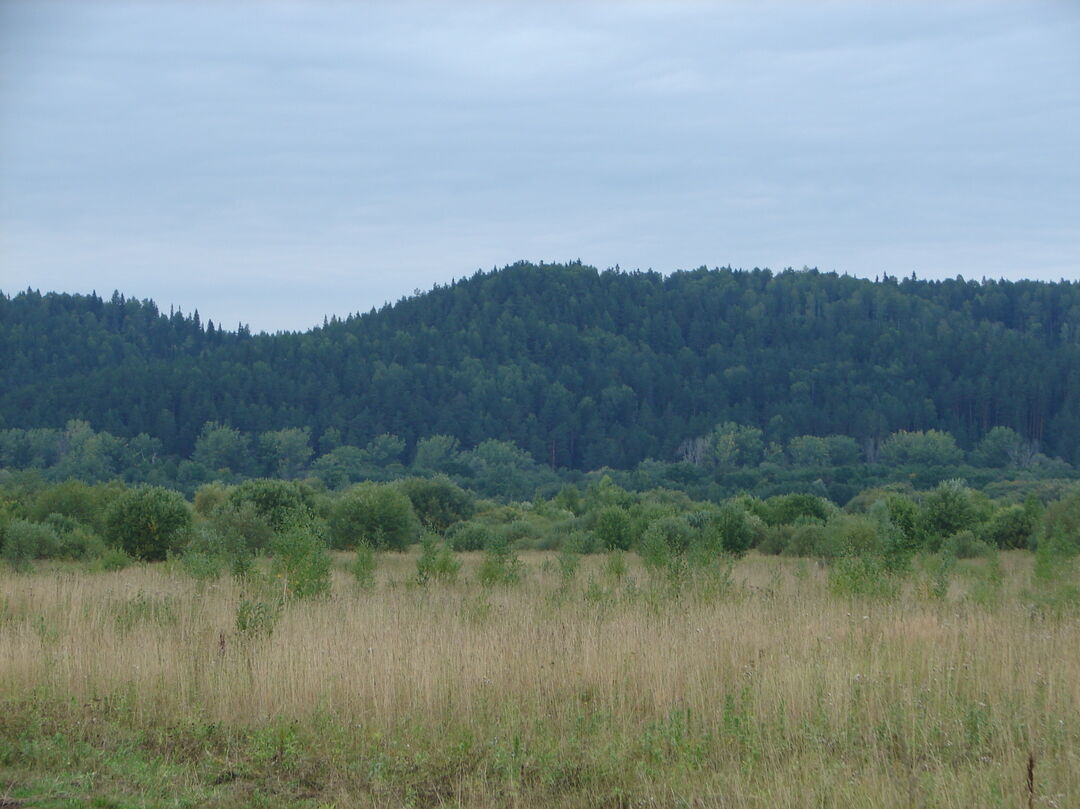 Юго-Камск I, городище - костище, Пермский край, Пермский район, в 4,1 км к  западу от плотины пруда в п. Юго-Камский, правый берег р.