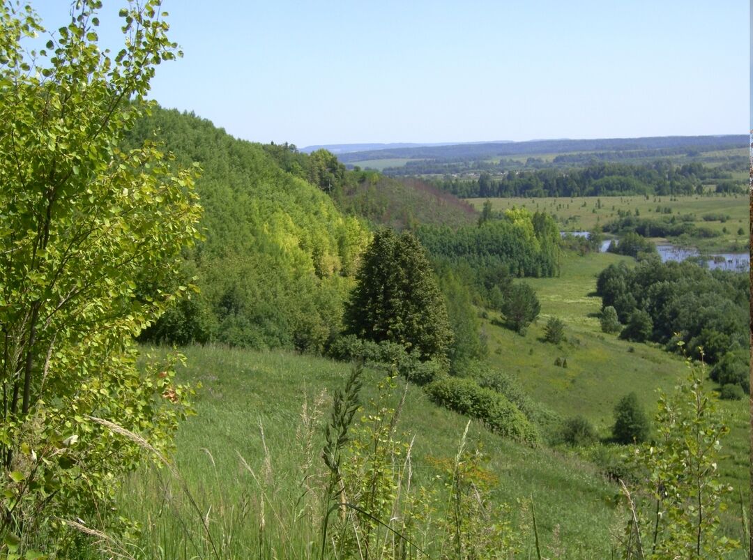 Погода городище пермский край