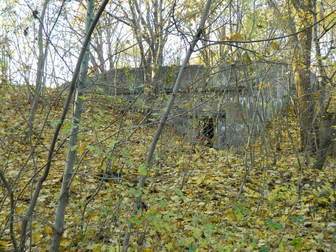 Парк головко балтийск фото