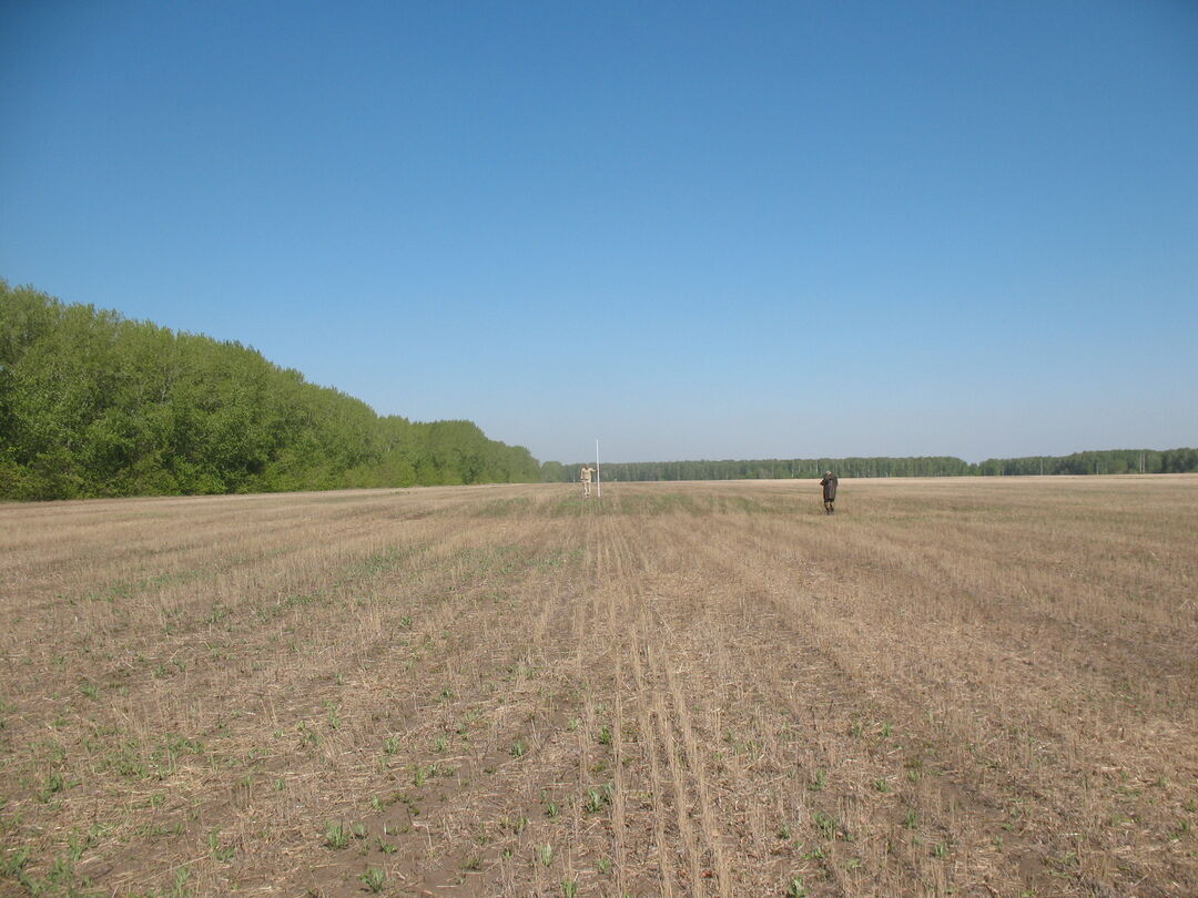 Родино I, курган, Алтайский край, Шипуновский район, в 4 км к западу от с.  Родино