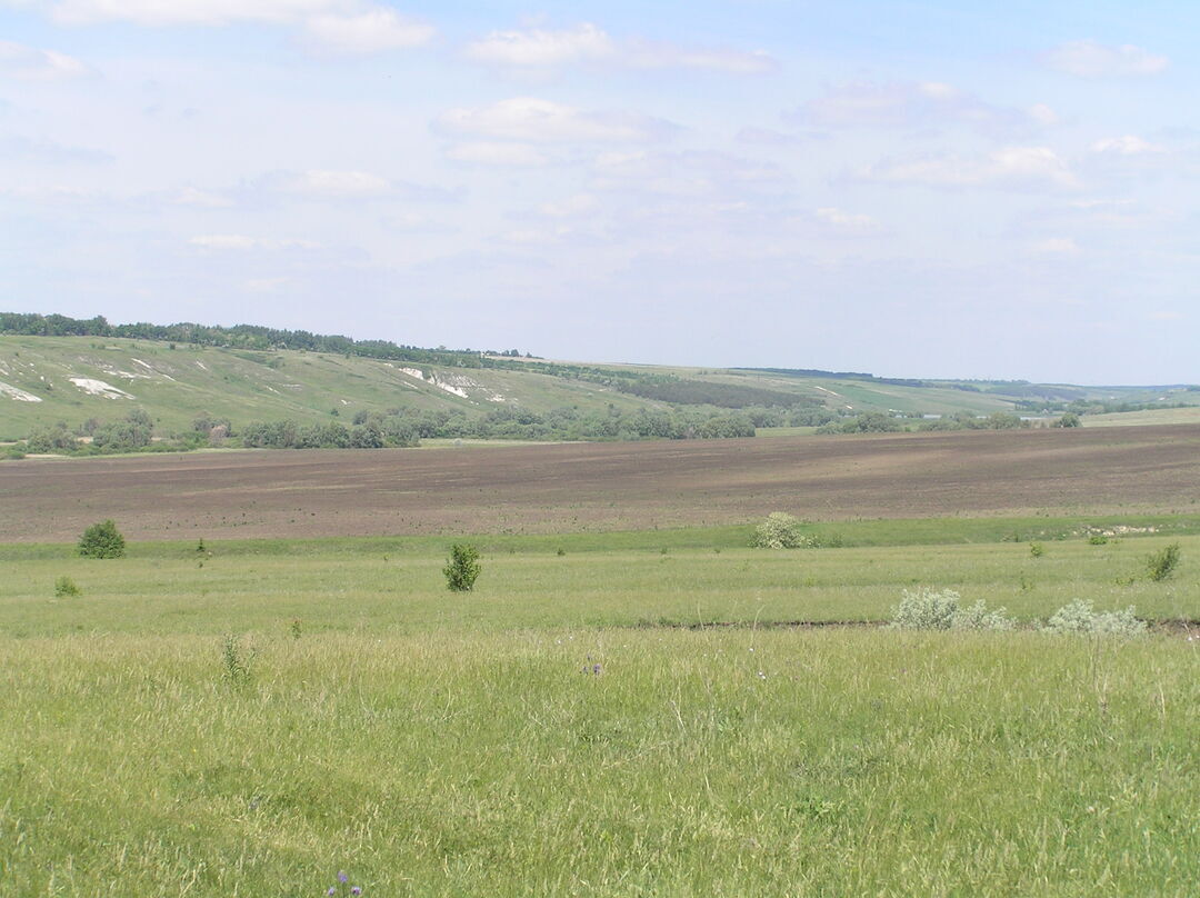 Солоти белгородская область. Солоти Валуйский район. Село Солоти Белгородская область. Село Солоти Валуйский район Белгородская область. Валуйки Белгородская область село Солоти.