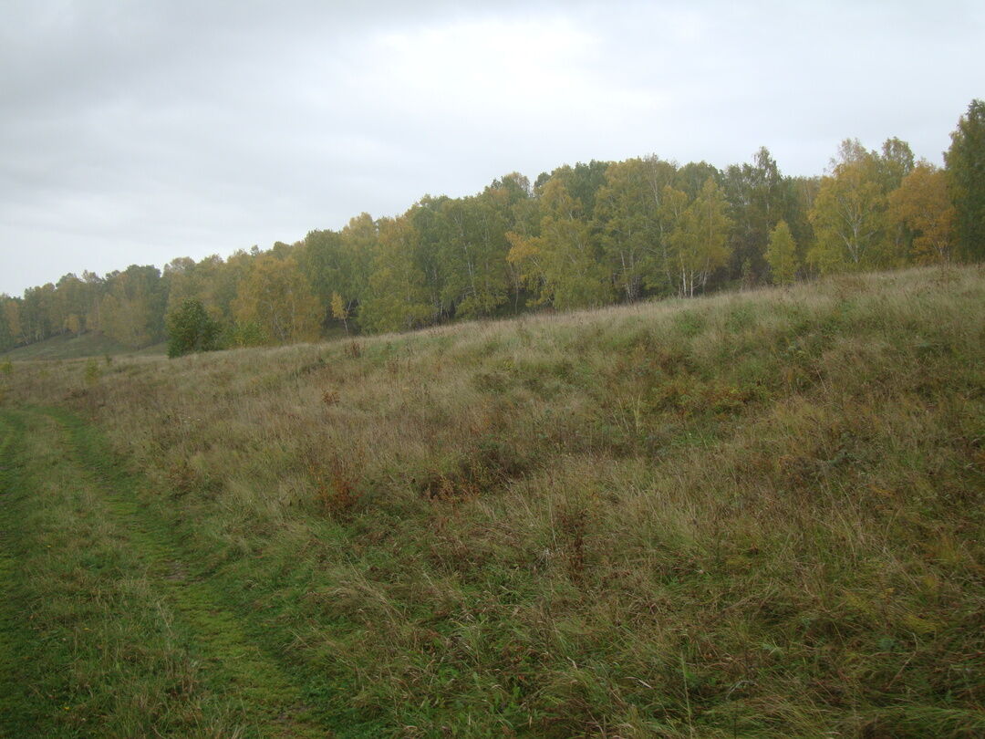 Поселок ленинский