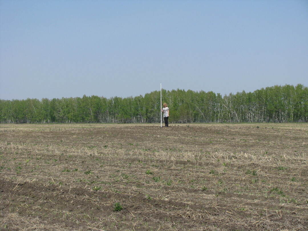 Село могильников. Село Соляное Черлакский район. Село Соляное Черлакский район Омская область. Озеро Соляное Омская область Черлакский район. Соляное Омск.