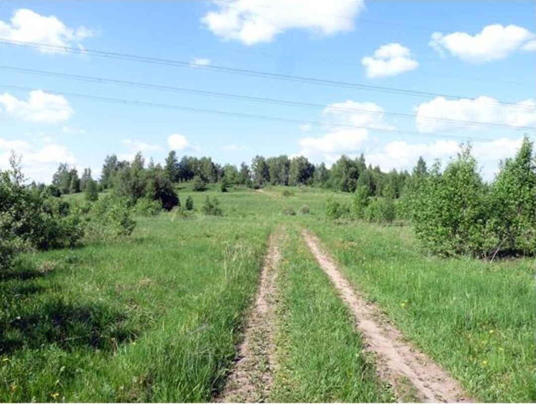 Городище ленинградская область. Городище Городец Ленинградская область. Городецкое Городище Ленинградская область. Деребуж смол обл фото.