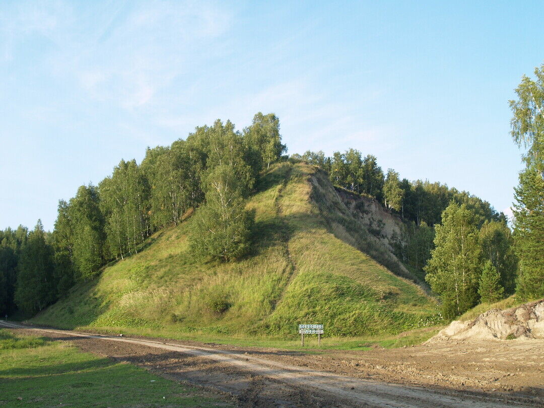 Городище Никольск I (Новоникольское-I, Голая Сопка), Омская область, Усть- Ишимский район, в 0,3 км к юго-востоку от с. Никольск, в 0,1 км к  северо-северо