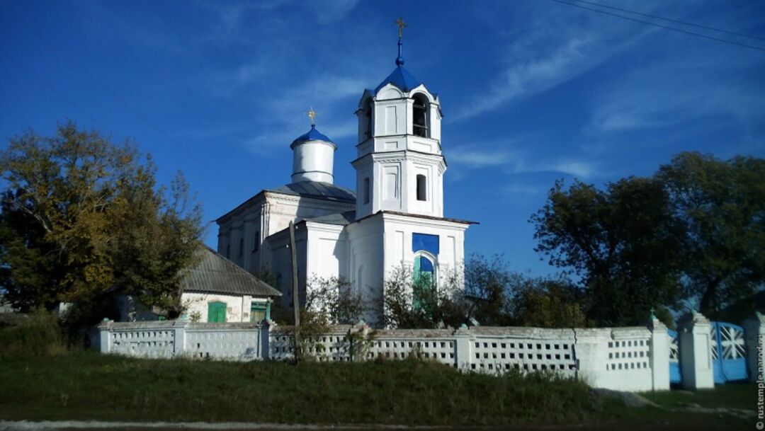 Село девица острогожского района фото