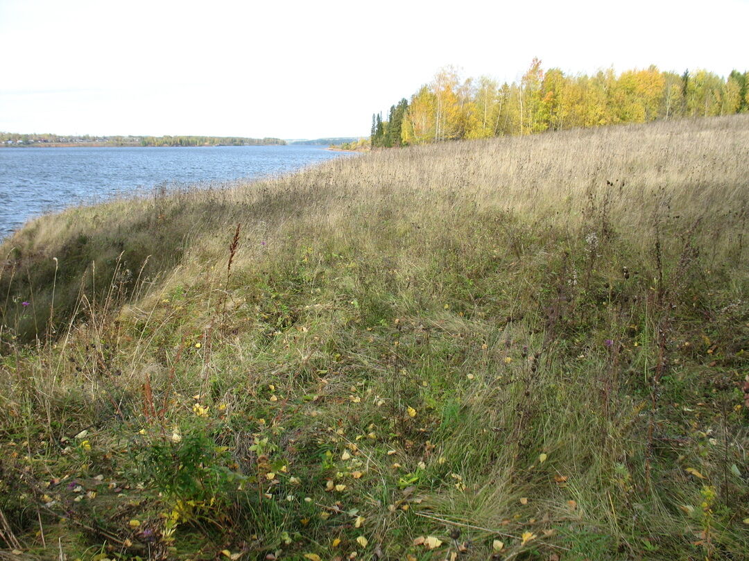 Ерзовка пермский край частинский