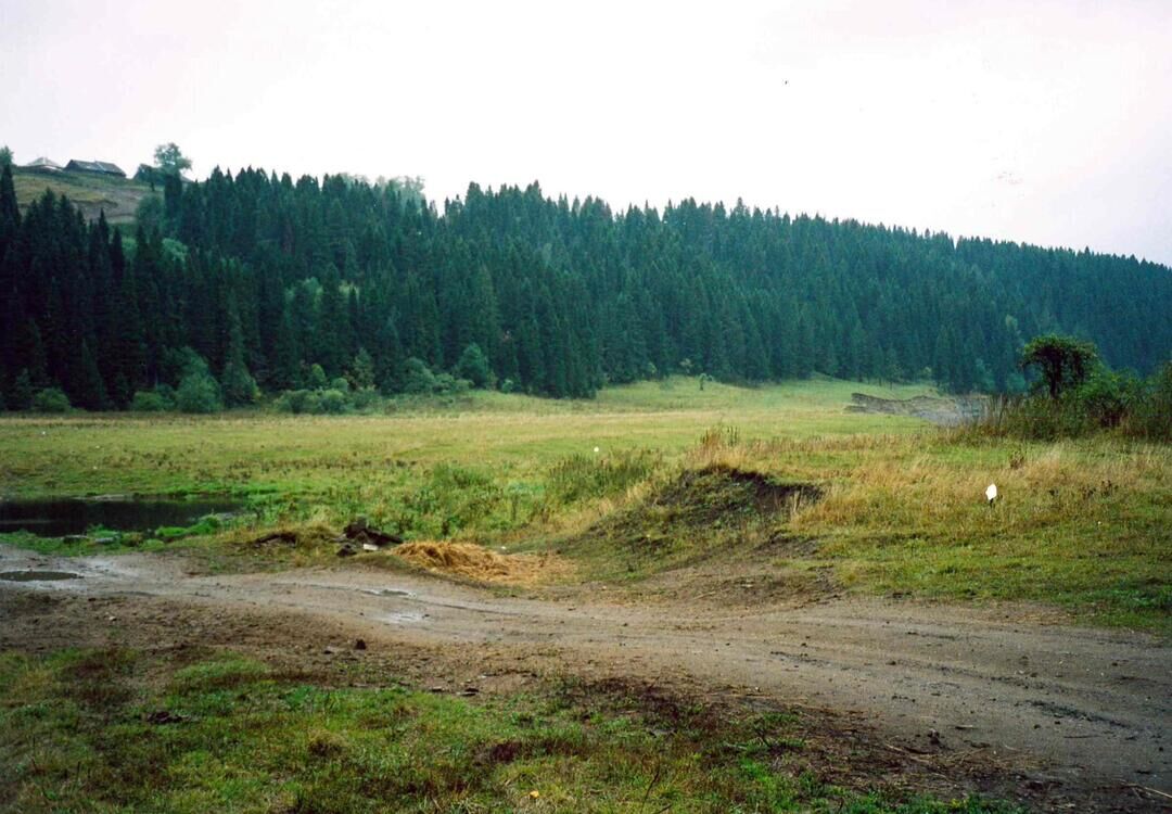 Село могильников. Вереинский Пермский край. Деревня Куликово Пермский край Чусовской район. Вереино Чусовской район Пермский край. Бор-Ленвинский могильник Пермский край.