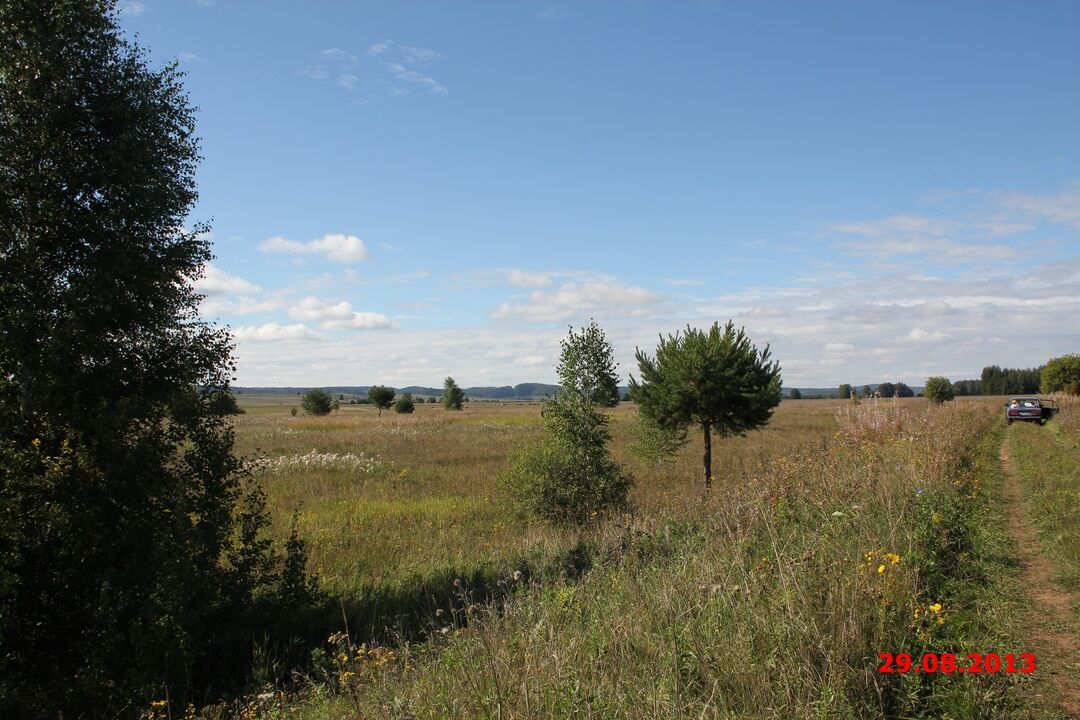 Село калиновка пермского края. Калиновка Пермский край Еловский район. Село Калиновка Еловский район Пермский край. Калиновский пруд. Деревня Калиновка Пермский край Еловский район.