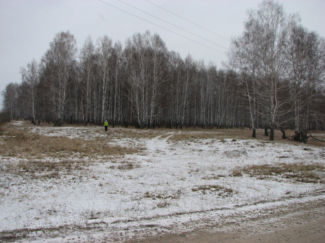 Погода святославка белгородская область. Святославка Кемеровская область.