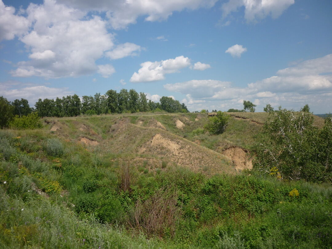 Большой лог. Крутой Лог Башкортостан. Сухой Лог Алтайский край. Крутой Лог Алтайский край. Сухой Лог 13 Барнаул.