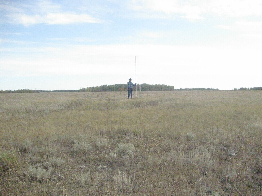 Погода в селе черлакское. Курганы в Омской области.