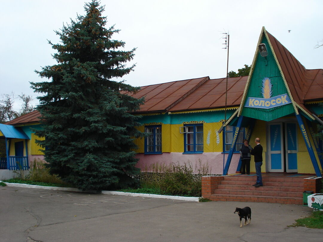 Колосок воронеж. Колосок лагерь Воронеж. Лагерь колосок новая Усмань. Дол колосок новая Усмань.