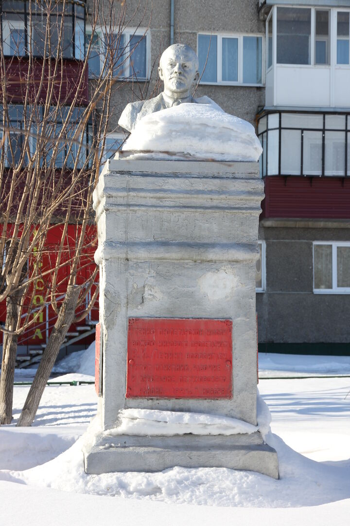 Погода в петухово курганской. Петухова Курганская область. Г. Петухово (Петуховский район).