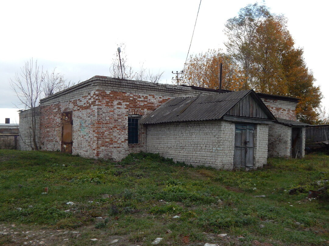 Погода брасовский брянской. Брянская область Брасовский район Телятниково. Погребы Брасовский район. Турищево Брасовский район. Деревня Тарасовка Брасовский район.