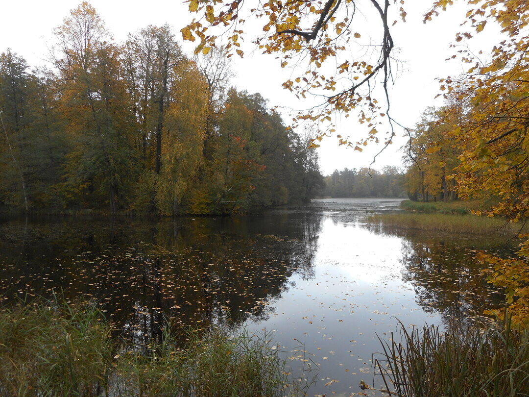 Александрийский парк в петергофе фото