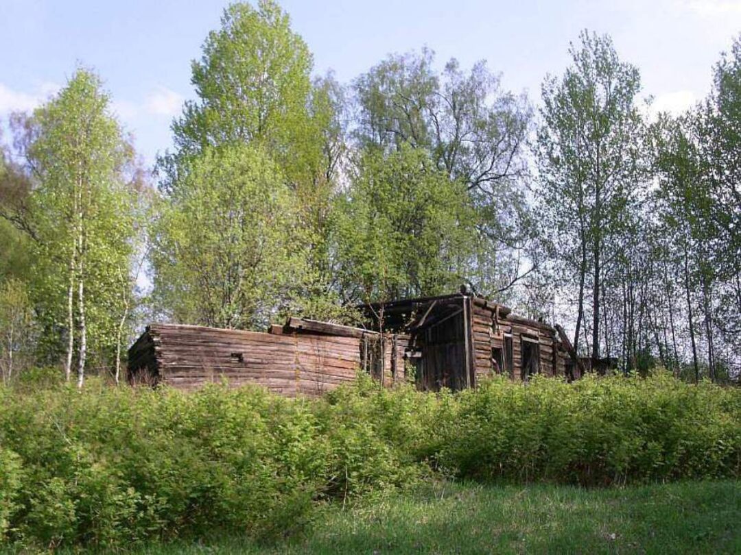 Торопецкий Район Фото