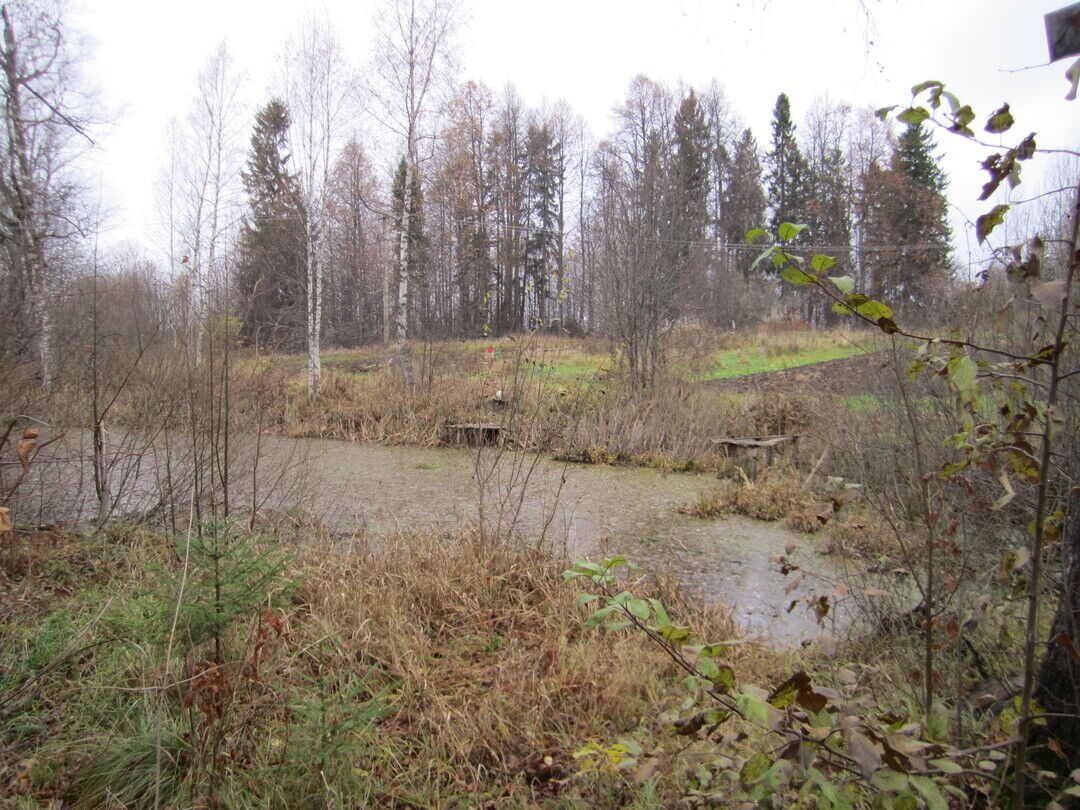 С белебелка поддорский район новгородская область картинки