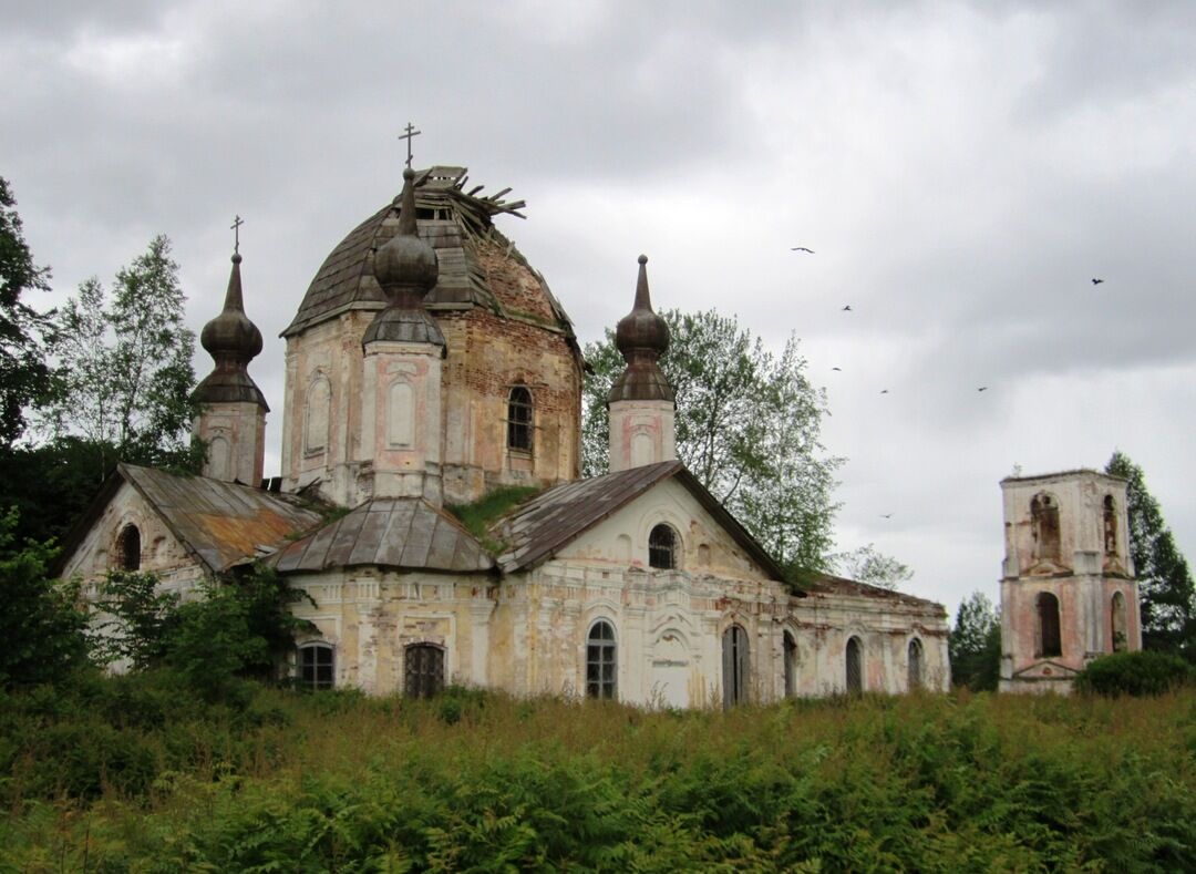 Тельбовичи Новгородская область