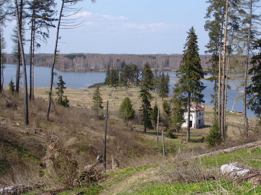 Павино костромская область