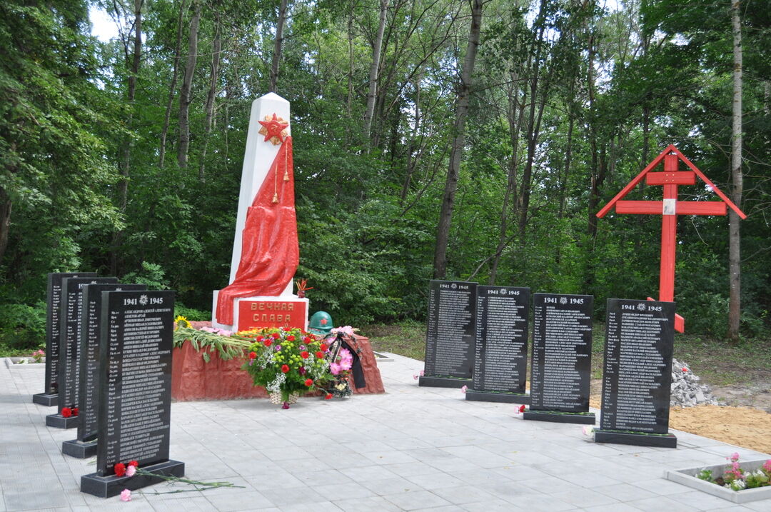 Могила воина. Украина Братская могила 1943. Братская могила погибших воинов Ловозеро. Братская могила в Багриново. Мемориал воинские захоронения Курская область Дмитровский район.