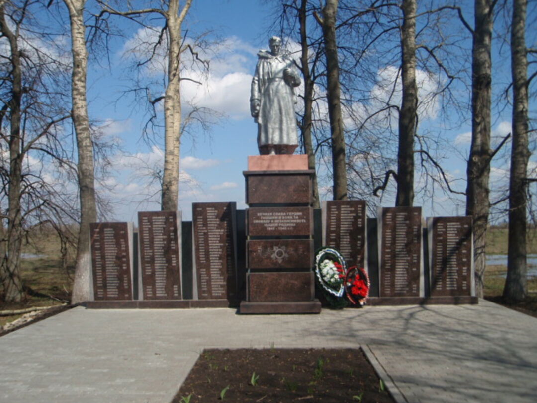 Могилы павших воинов. Братская могила Донской Тульской области. Братская могила. Донской. Поселок Комсомольский. Мемориал Братская могила 1941-1945. Братская могила 1941.