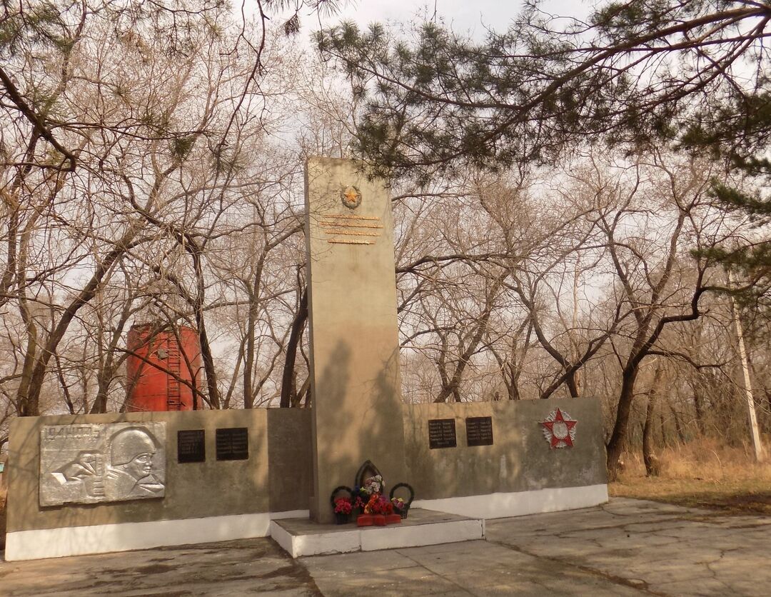 Погода село амурское. Село Поярково Михайловский район. Поярково Амурская область Михайловский район. Село дим Михайловского района Амурской области. Село Поярково Амурской области Михайловского района.