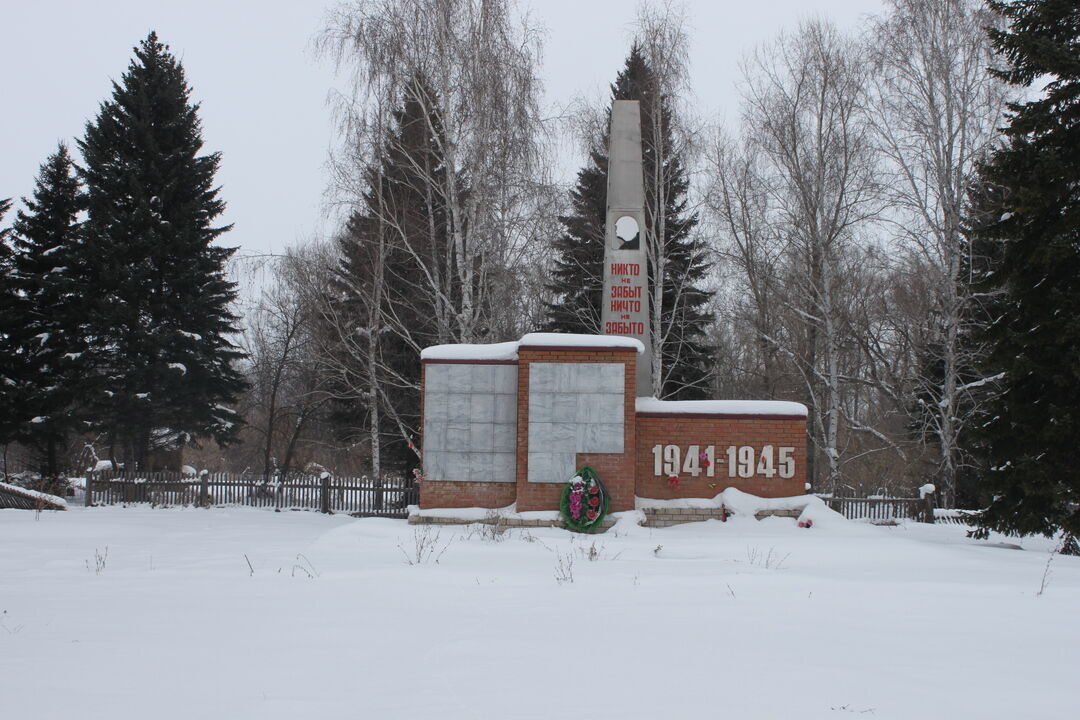 Нижнекаменка алтайский район карта