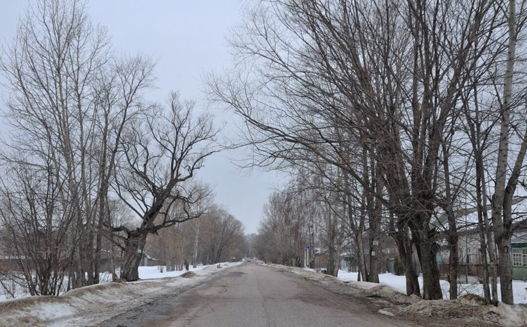 Парк, Московская область, Ступинский район, сАвдотьино