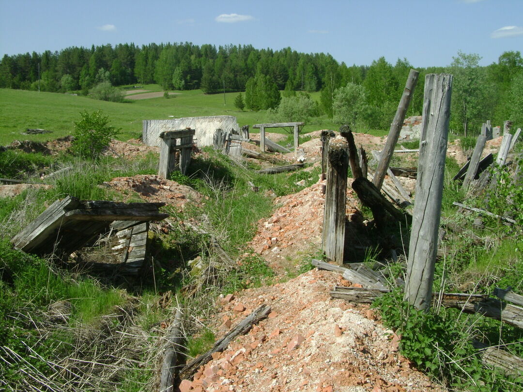 Картинка скотный двор